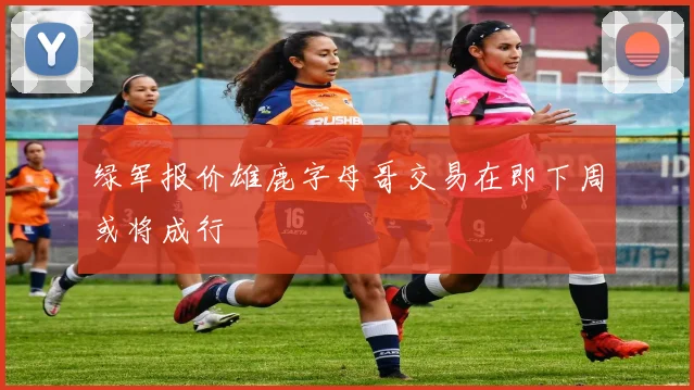 绿军报价雄鹿字母哥交易在即下周或将成行